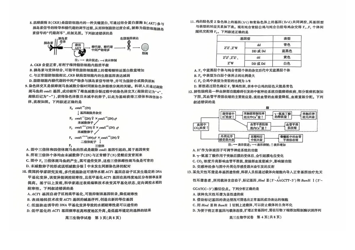 恩施州2026届高三第二次质量监测考试 生物第2页