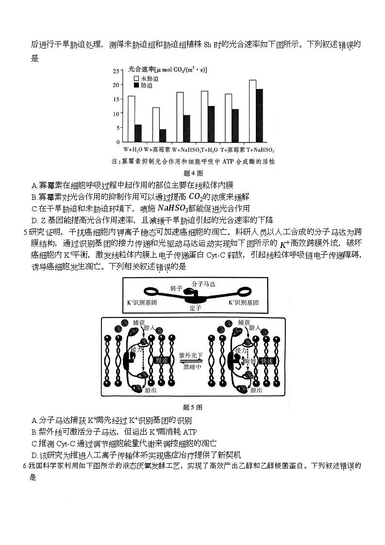 2025届重庆市南开中学高三下学期5月第九次质量检测生物试卷第2页