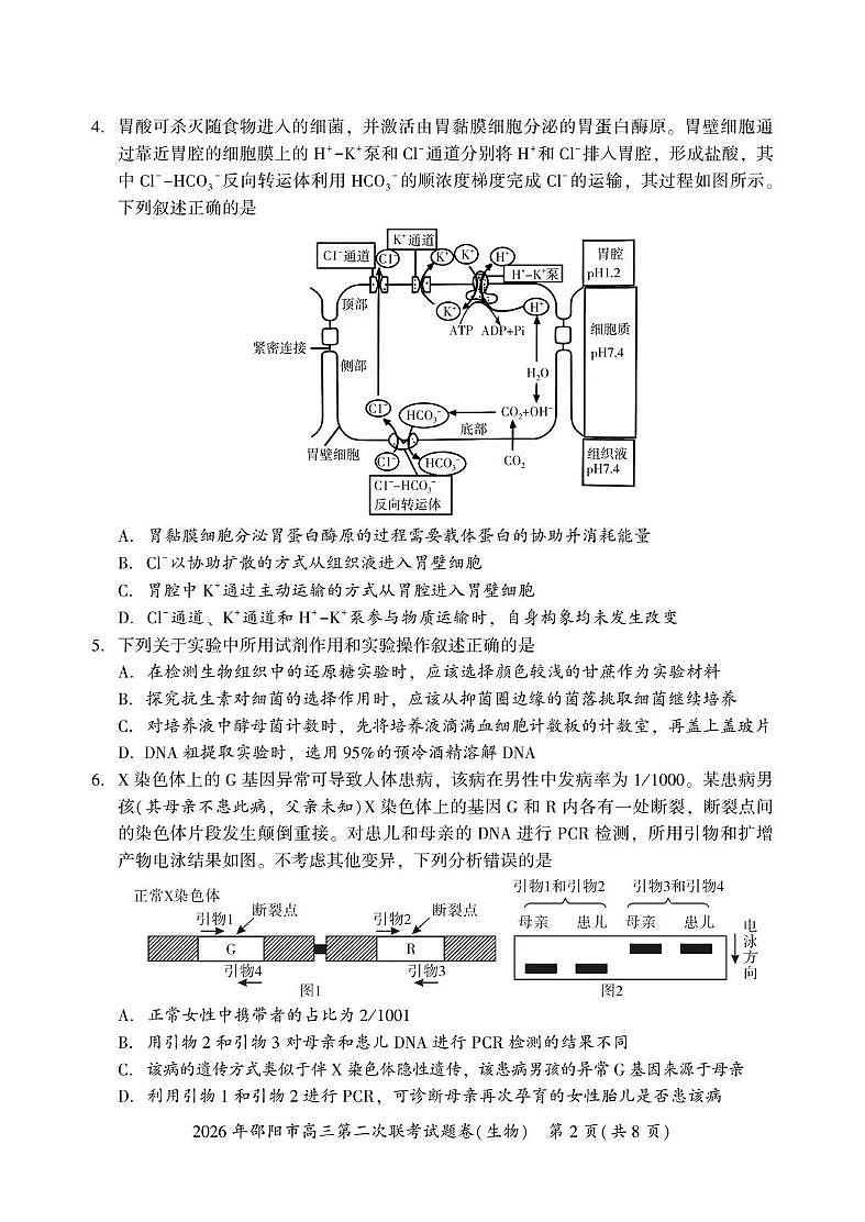 2026年邵阳市高三下学期3月第二次联考试题卷 生物试卷+答案第2页