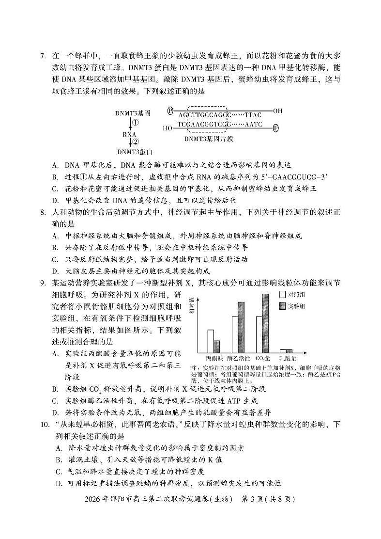 2026年邵阳市高三下学期3月第二次联考试题卷 生物试卷+答案第3页