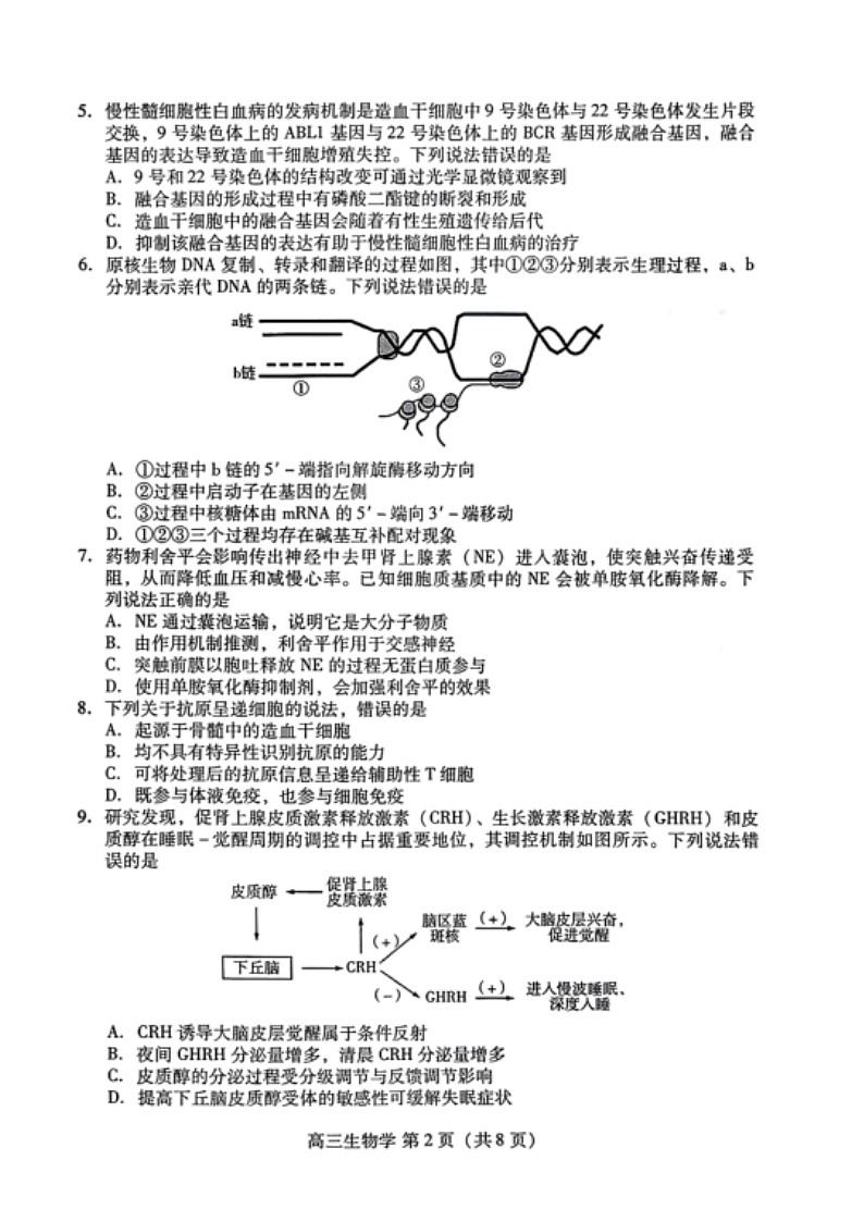山东省潍坊市2026届高三上学期2月一模试题 生物 含答案第2页