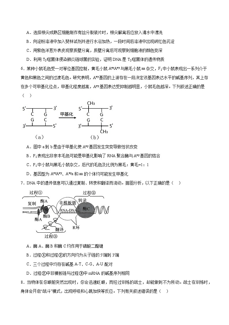 山西省大同市2026届高三下学期第一次模拟考试质量监测 生物试卷（含解析）第2页