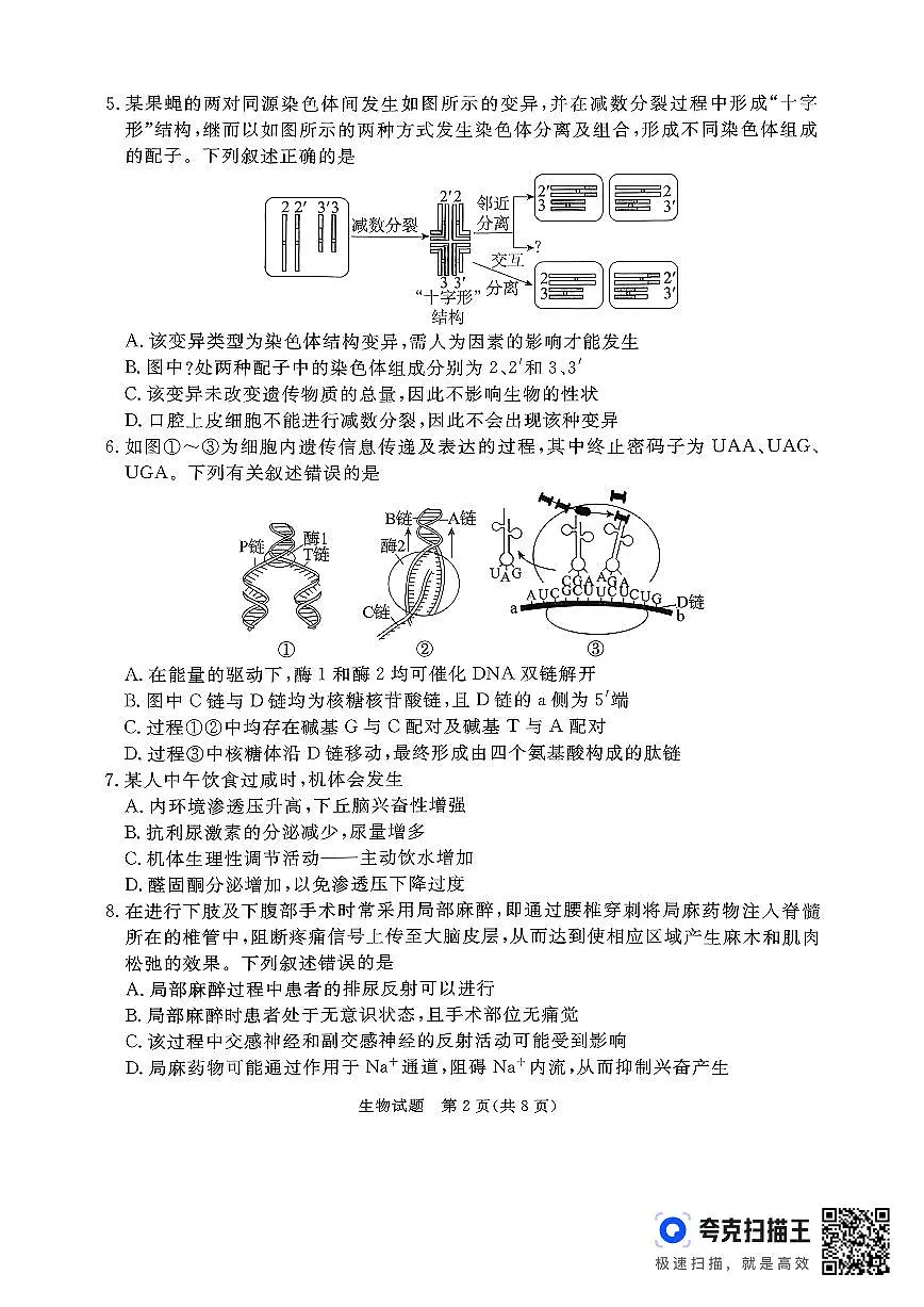 生物-河北省张家口市2026年普通高等学校招生全国统一模拟考（张家口高考一模）试题及答案第2页