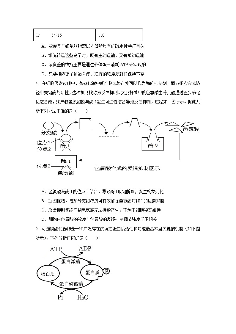 2026年安徽省“新高考”联盟校高三下第一次检测生物试卷（附答案解析）第2页