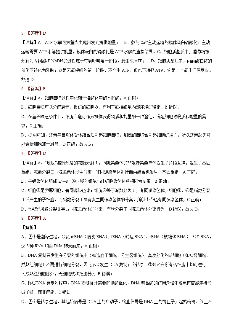 安徽省铜陵市2026届高三下学期第一次质检生物试卷答案第2页