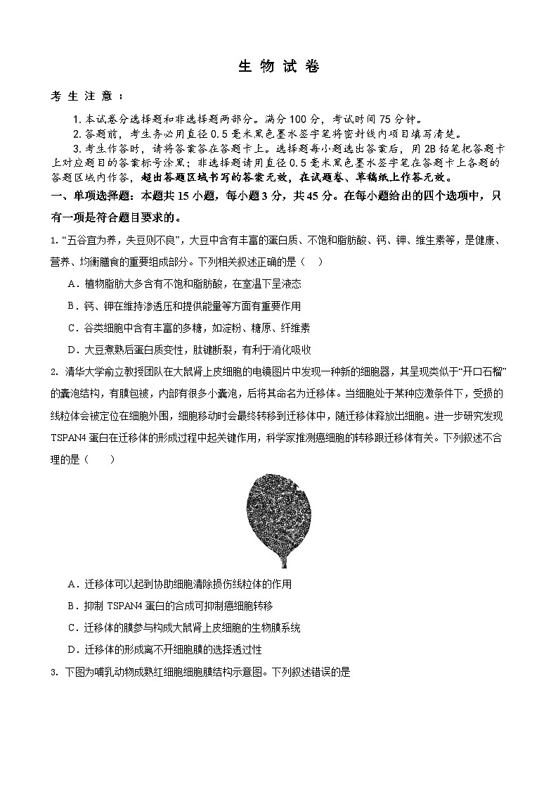 安徽省铜陵市2026届高三下学期第一次质检生物试卷第1页