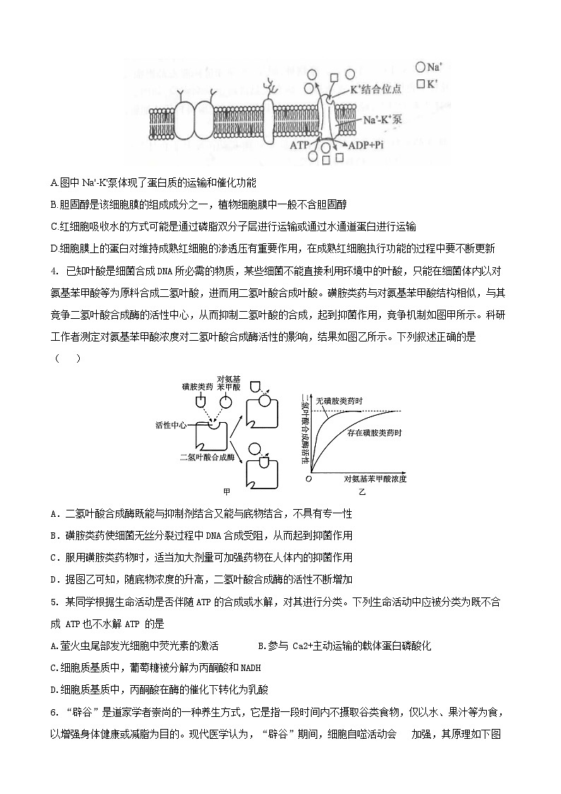 安徽省铜陵市2026届高三下学期第一次质检生物试卷第2页