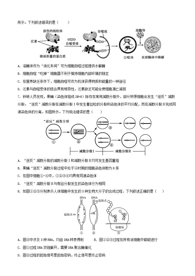 安徽省铜陵市2026届高三下学期第一次质检生物试卷第3页