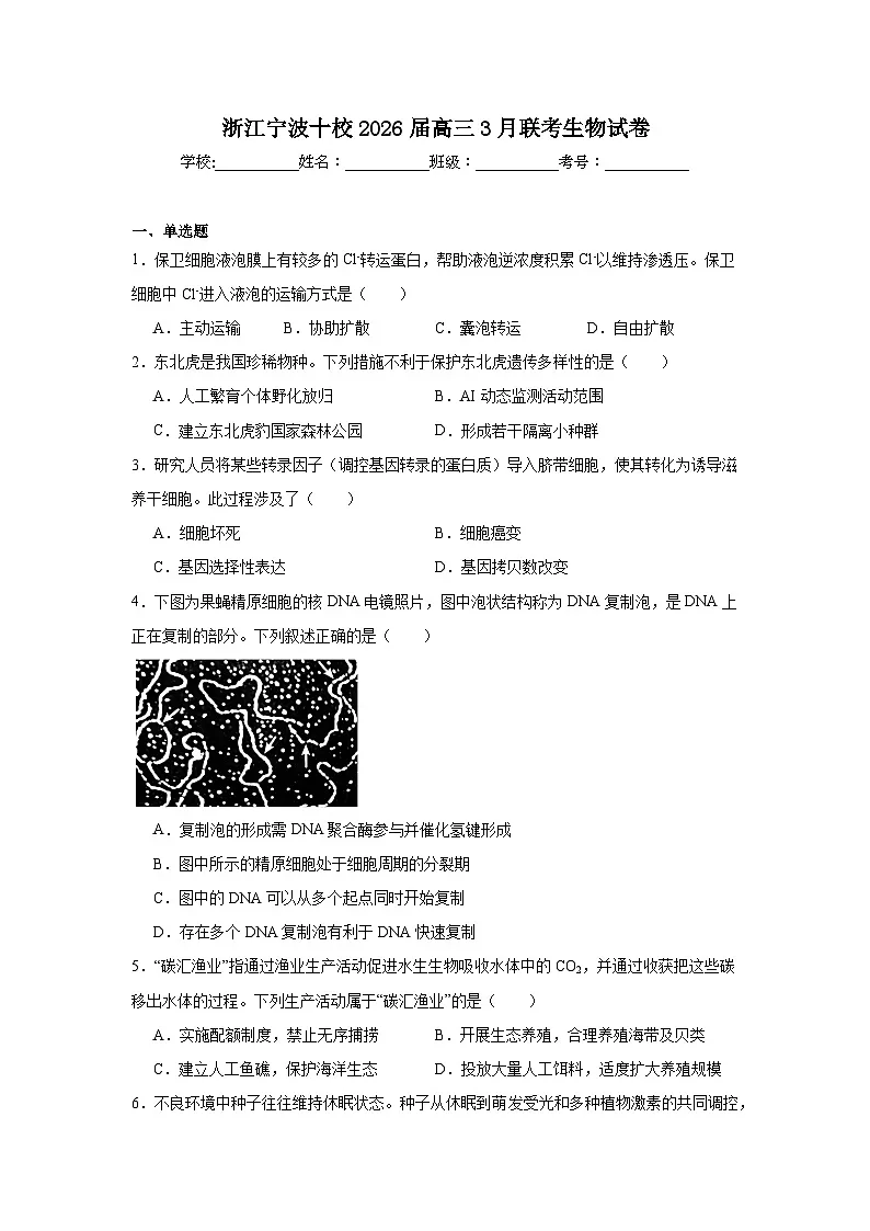 2026年浙江宁波十校高三3月联考生物试卷（附答案解析）第1页