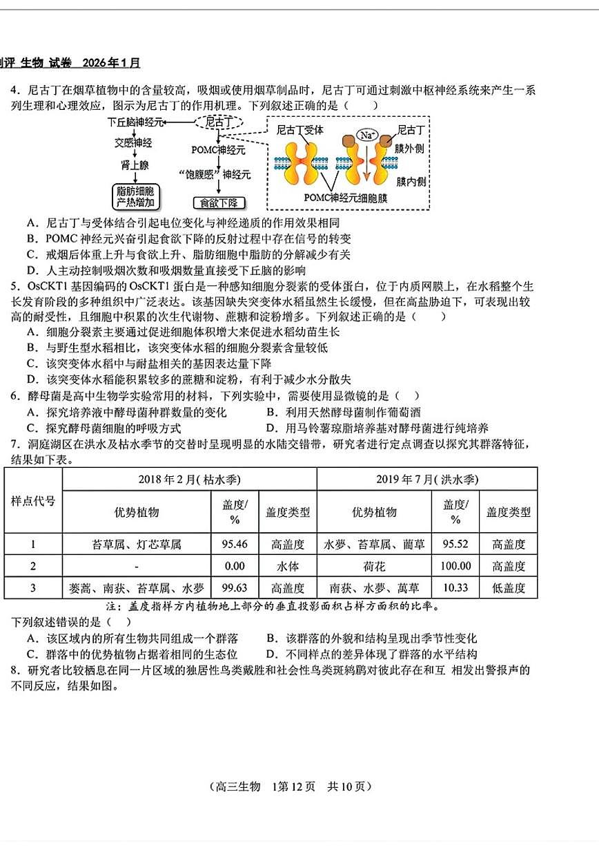 2025-2026学年北京市第八十中学高三上学期1月月考生物（含解析）试卷第2页