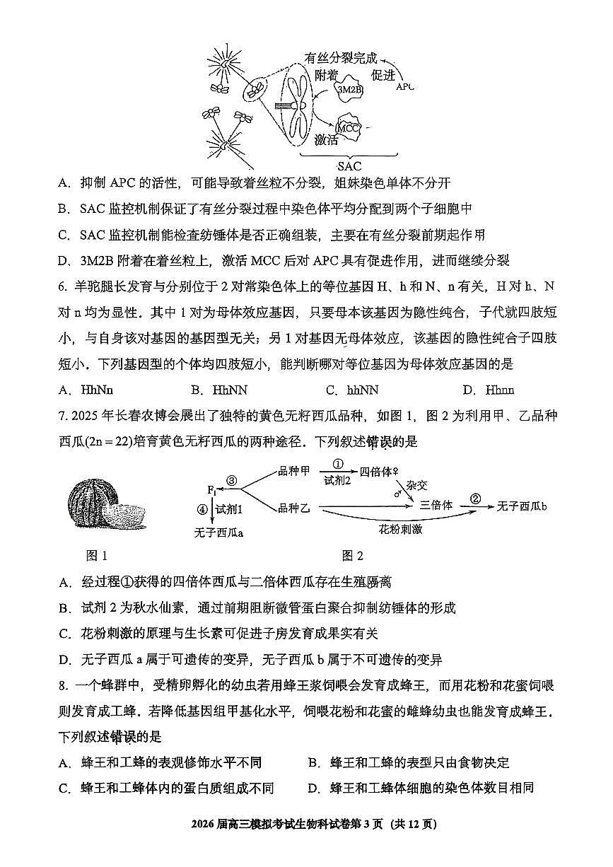 吉林五校联考(长春11高、四平一中等)2026届高三下学期模拟考试生物试卷（无答案）第3页