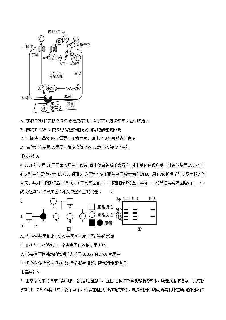 安徽省合肥市普通高中六校联盟2026届高三下学期3月开年考 生物试卷（含解析）第2页
