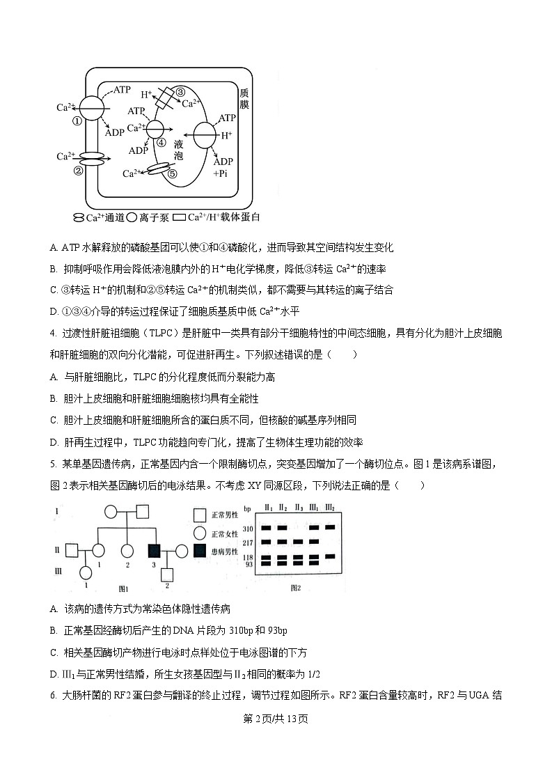 生物试题（原卷版）第2页