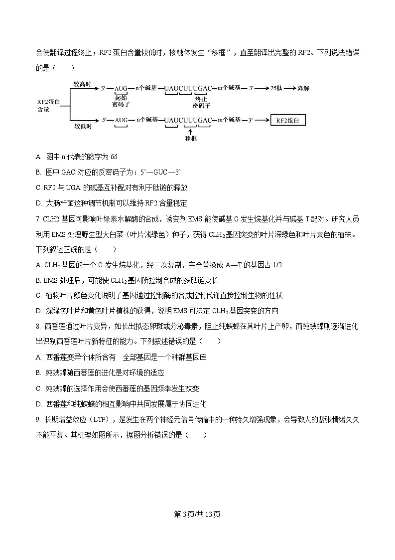 生物试题（原卷版）第3页