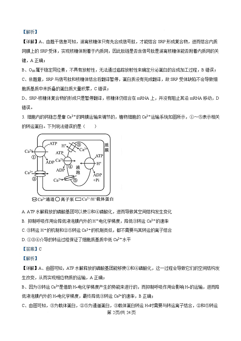 生物试题（解析版）第2页