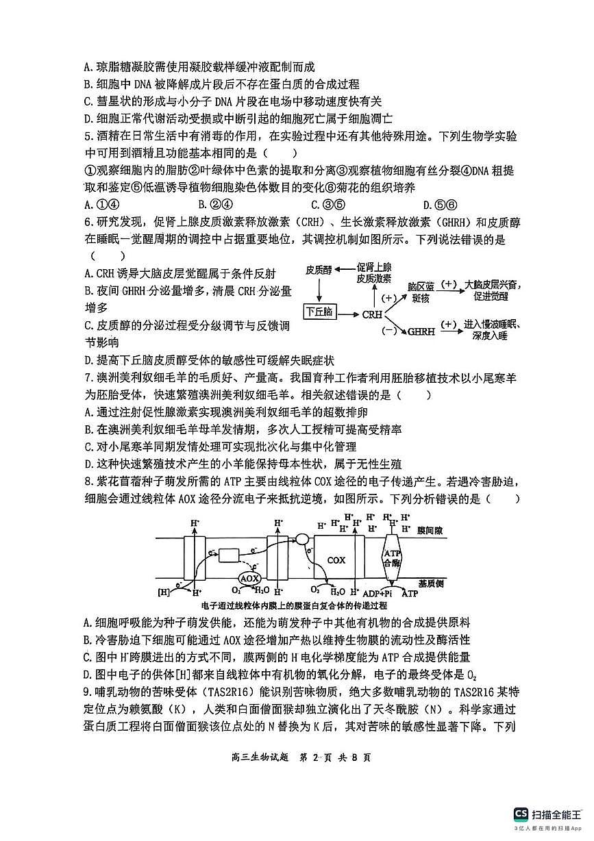 山大附中高三生物3月试题第2页
