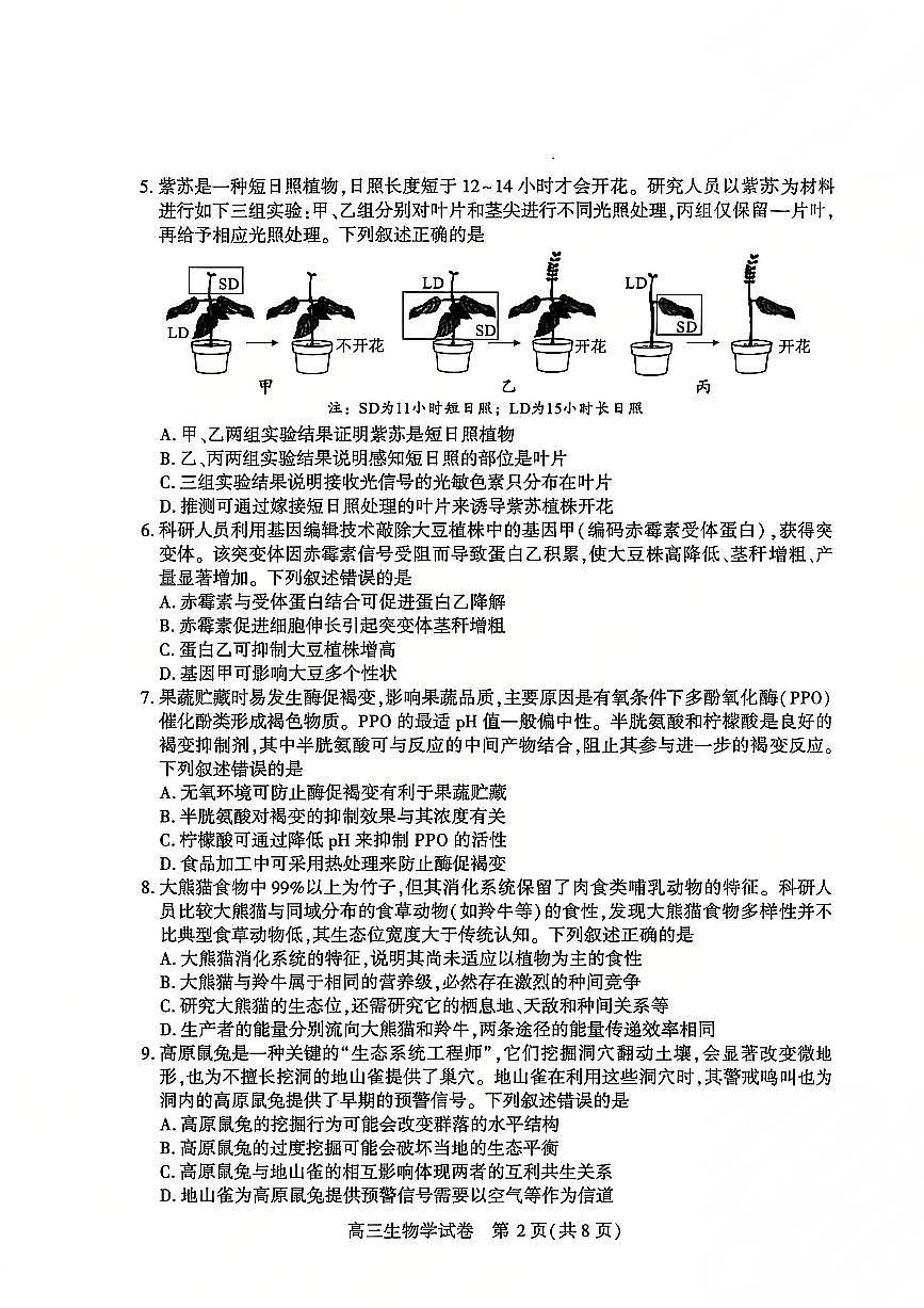 2026届 武汉市高三（下）三月调研生物试卷第2页