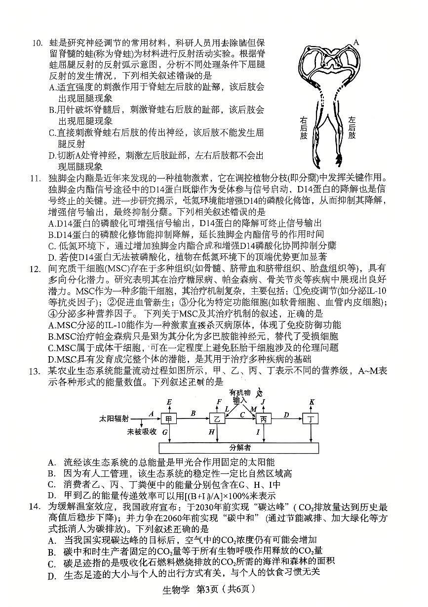 2026宝鸡高考模拟检测试题(二)(1)第3页