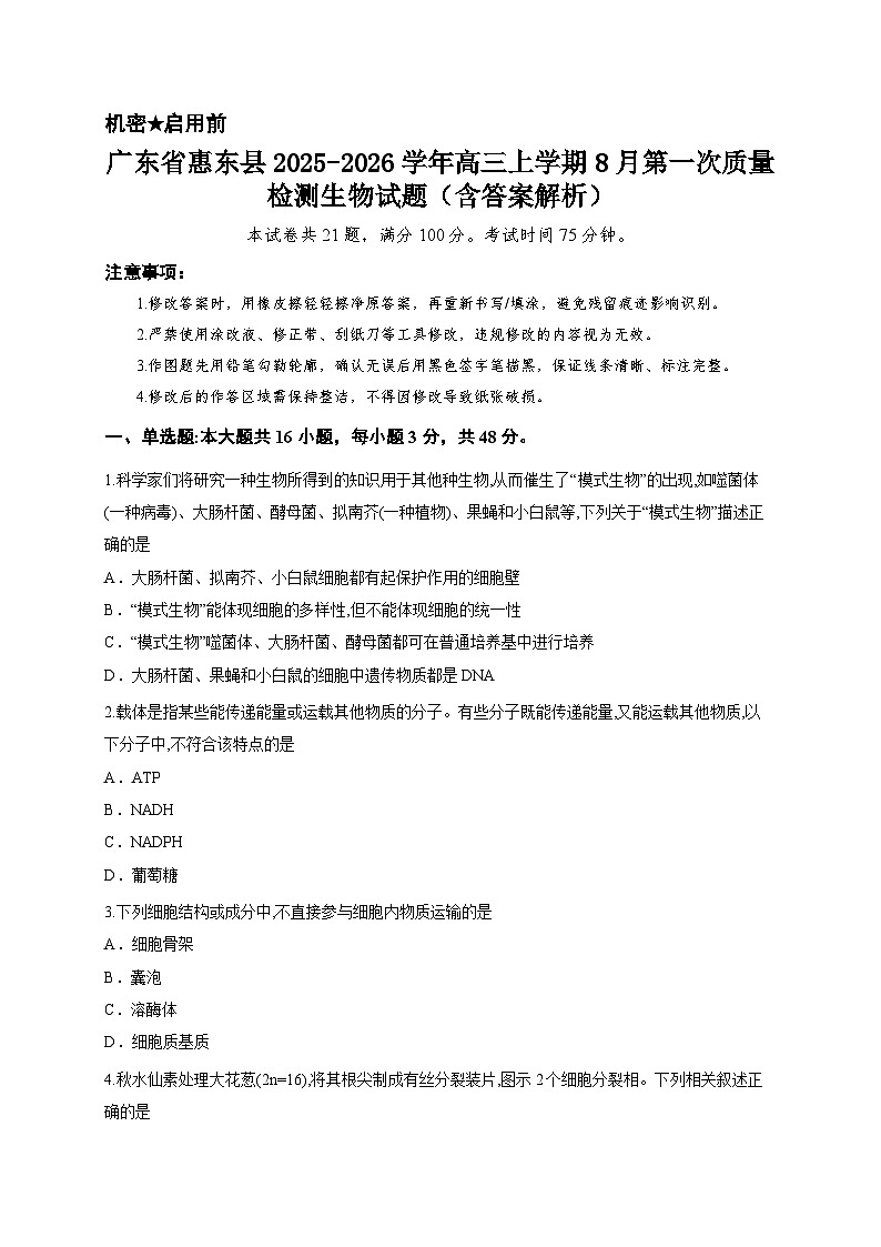 广东省惠东县2025-2026学年高三上学期8月第一次质量检测生物试题（含答案解析）第1页