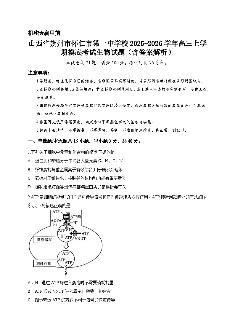 山西省朔州市怀仁市第一中学校2025-2026学年高三上学期摸底考试生物试题（含答案解析）第1页