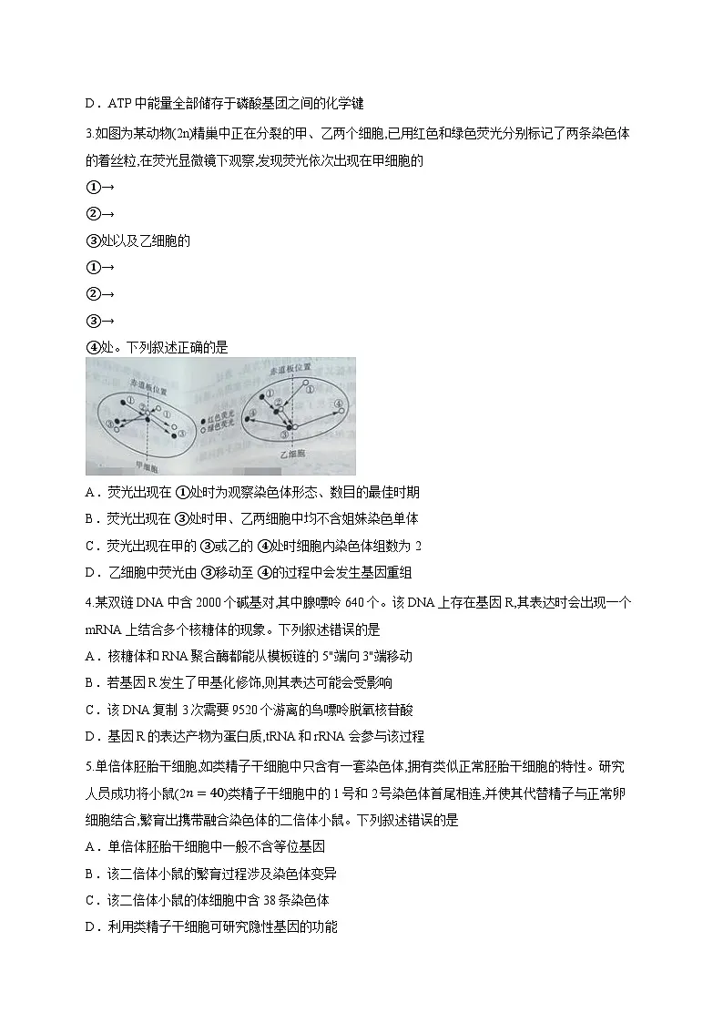 山西省朔州市怀仁市第一中学校2025-2026学年高三上学期摸底考试生物试题（含答案解析）第2页