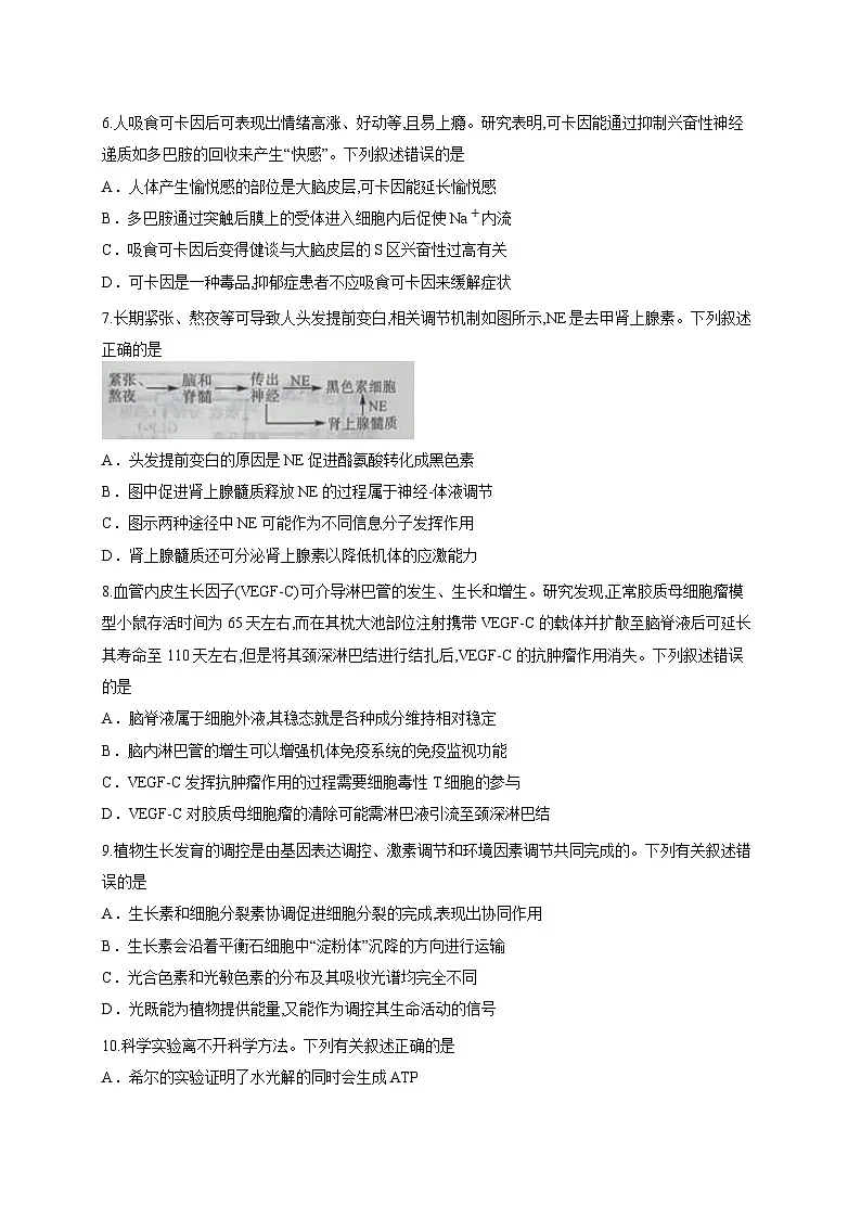 山西省朔州市怀仁市第一中学校2025-2026学年高三上学期摸底考试生物试题（含答案解析）第3页