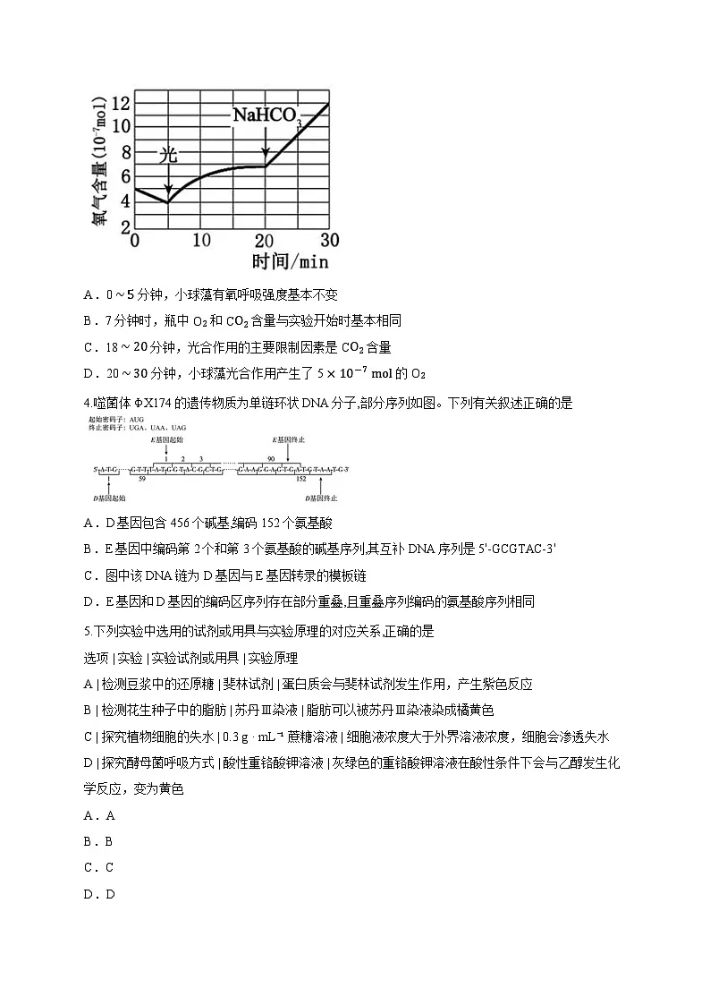 云南省临沧地区中学等校2025-2026学年高三上学期入学检测生物试题（含答案解析）第2页