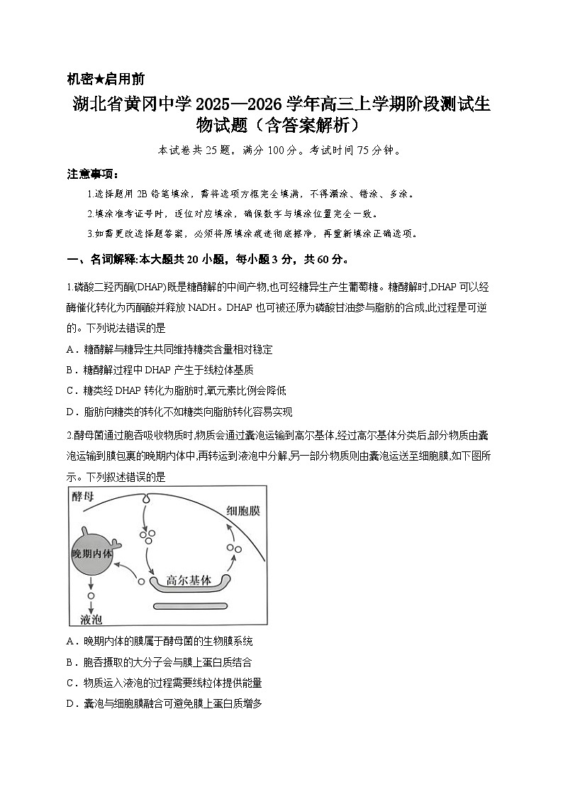 湖北省黄冈中学2025—2026学年高三上学期阶段测试生物试题（含答案解析）第1页