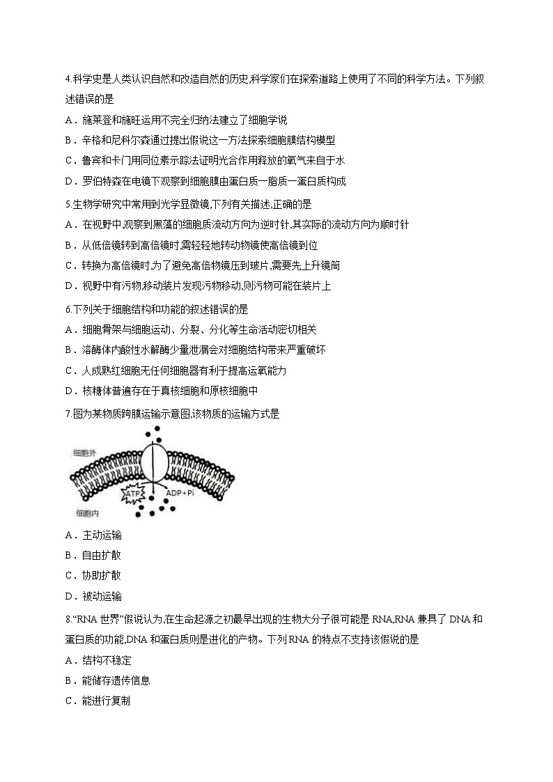 广东省梅州市丰顺县华侨中学2025—2026学年高三上学期第一次质检生物试题（含答案解析）第2页