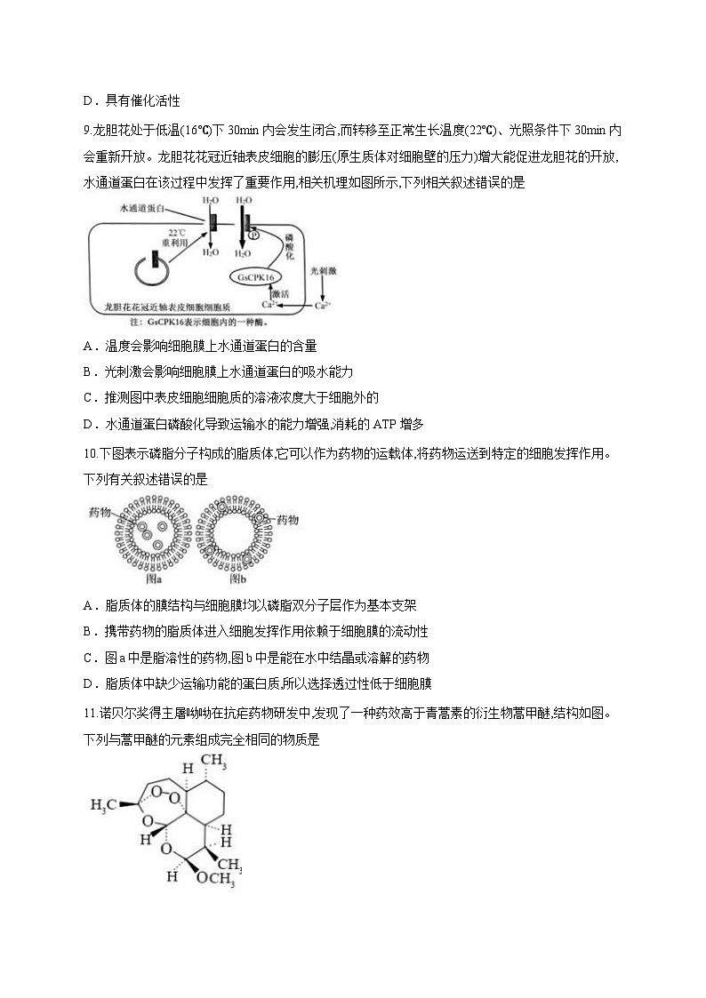 广东省梅州市丰顺县华侨中学2025—2026学年高三上学期第一次质检生物试题（含答案解析）第3页