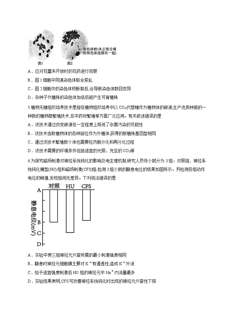 广东省八校联盟2025-2026学年高三上学期质量检测生物试题（含答案解析）第2页