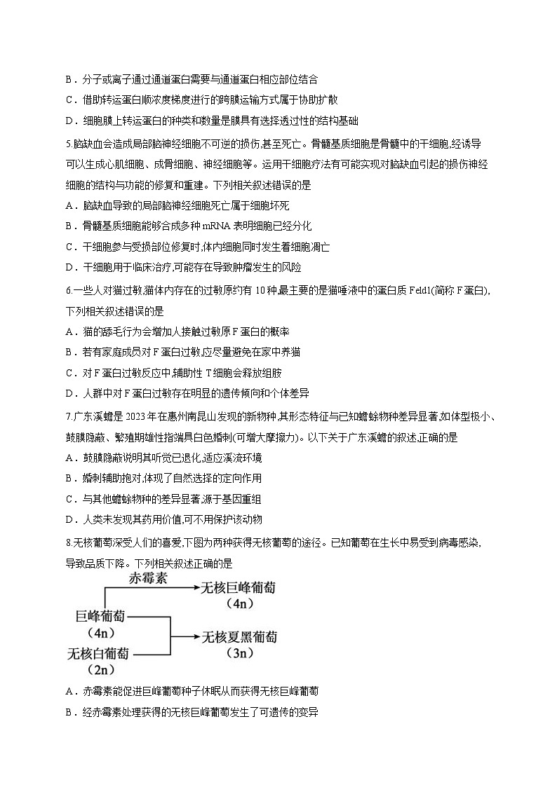 2026届广东省惠州市高三第一次调研考试生物试题（含答案解析）第2页
