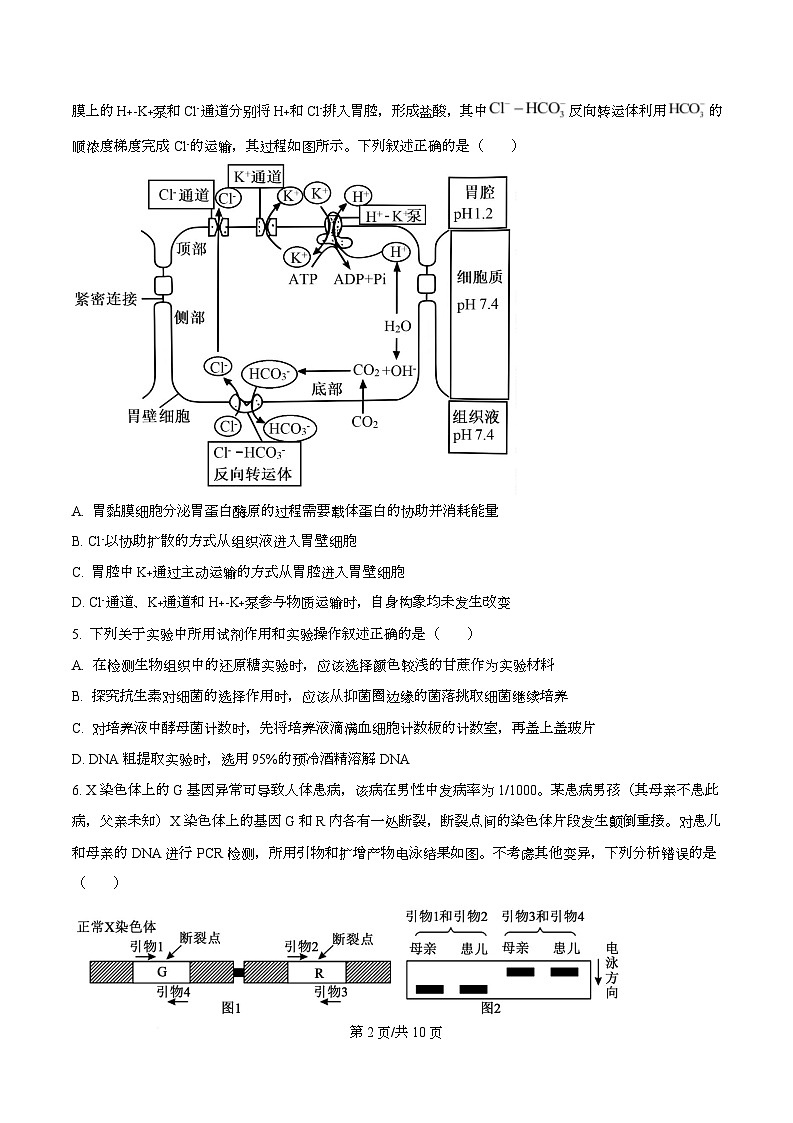湖南省邵阳市2026届高三第二次联考生物试题（原卷版）第2页