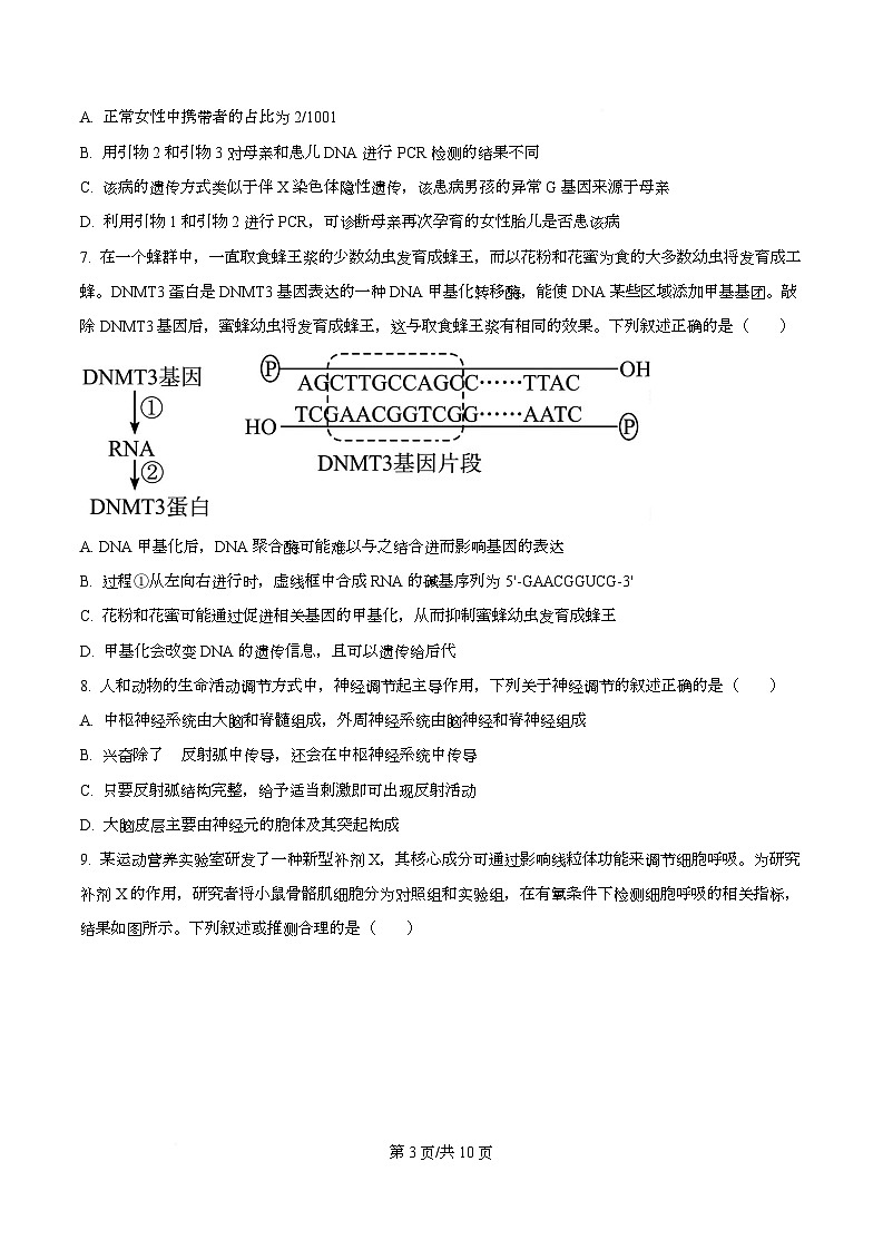 湖南省邵阳市2026届高三第二次联考生物试题（原卷版）第3页