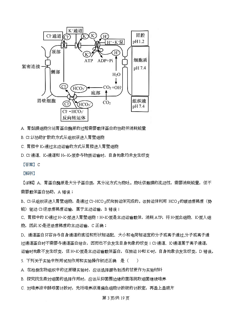 湖南省邵阳市2026届高三第二次联考生物试题 Word版含解析第3页