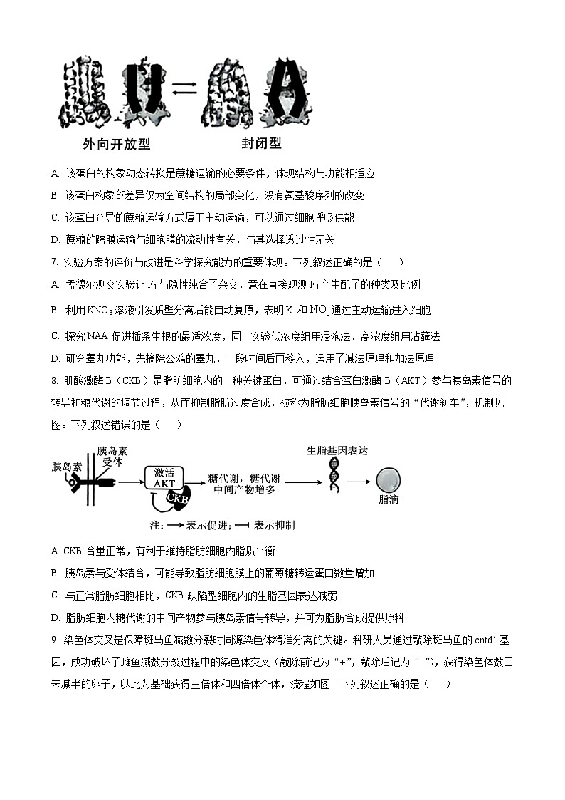 湖北省恩施土家族苗族自治州2026届高三二模生物试题（原卷版）第3页