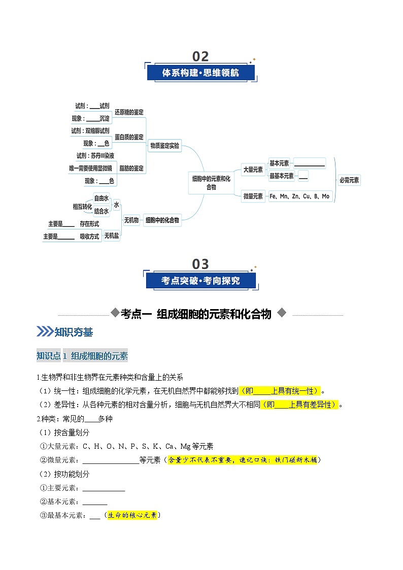 高考生物二轮-细胞中的元素和化合物（复习讲义）（全国通用）（原卷版）第3页