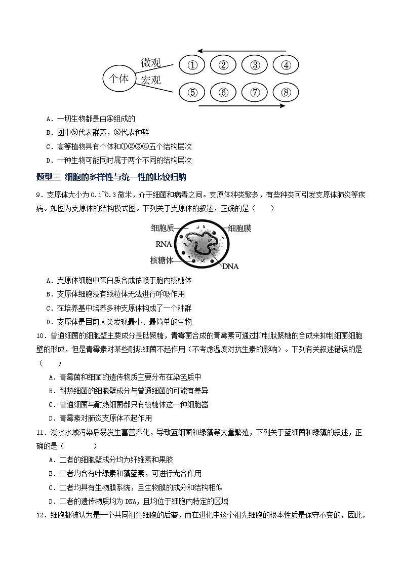 高考生物二轮-走近细胞（专项训练）（全国通用）（原卷版）第3页