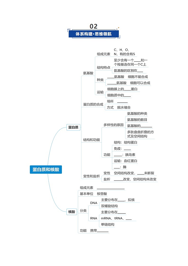 高考生物二轮-蛋白质和核酸（复习讲义）（全国通用）（原卷版）第3页