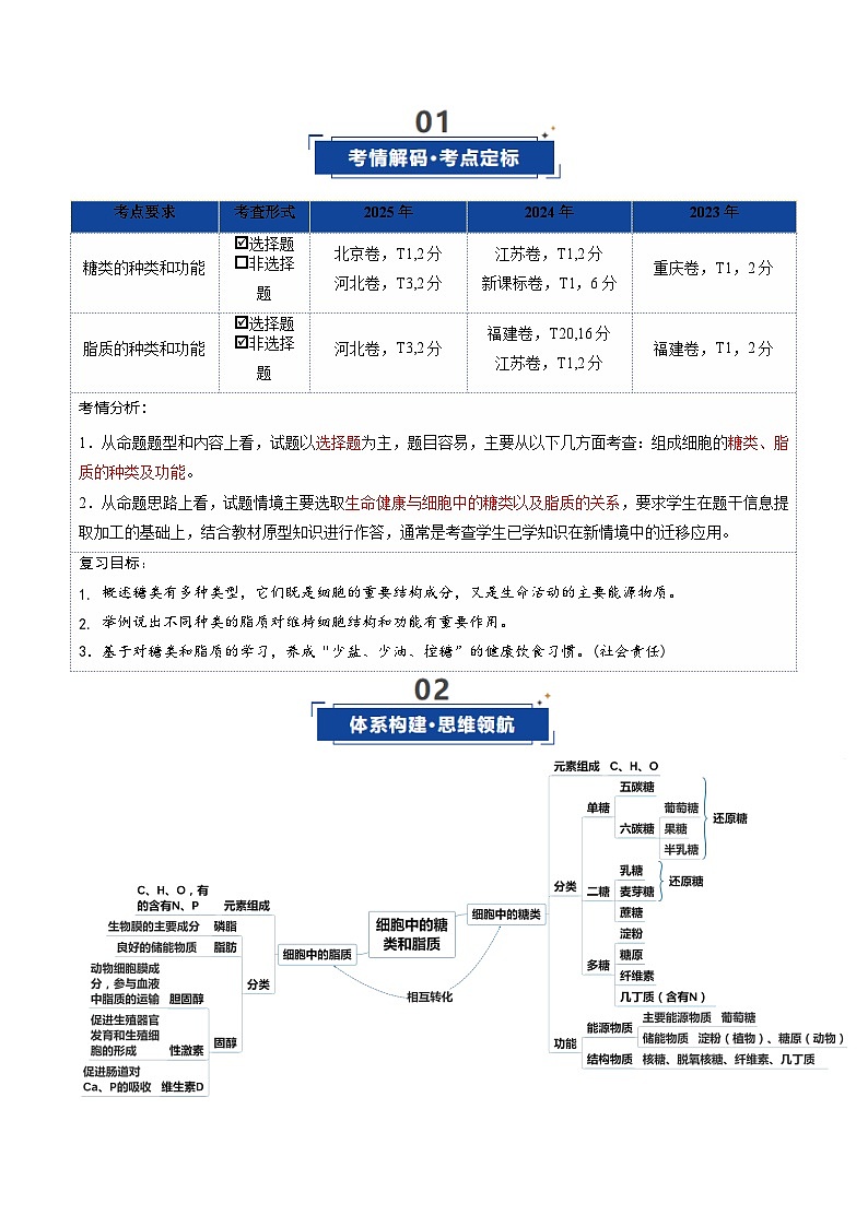 高考生物二轮-糖类和脂质（复习讲义）（全国通用）（解析版）第2页