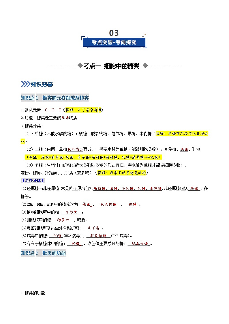 高考生物二轮-糖类和脂质（复习讲义）（全国通用）（解析版）第3页