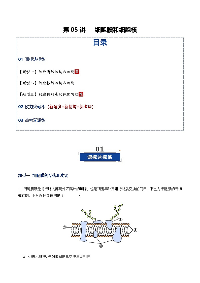 高考生物二轮-细胞膜和细胞核（专项训练）（原卷版）第1页