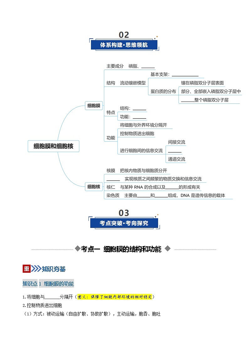 高考生物二轮-细胞膜和细胞核（复习讲义）（全国通用）（原卷版）第3页