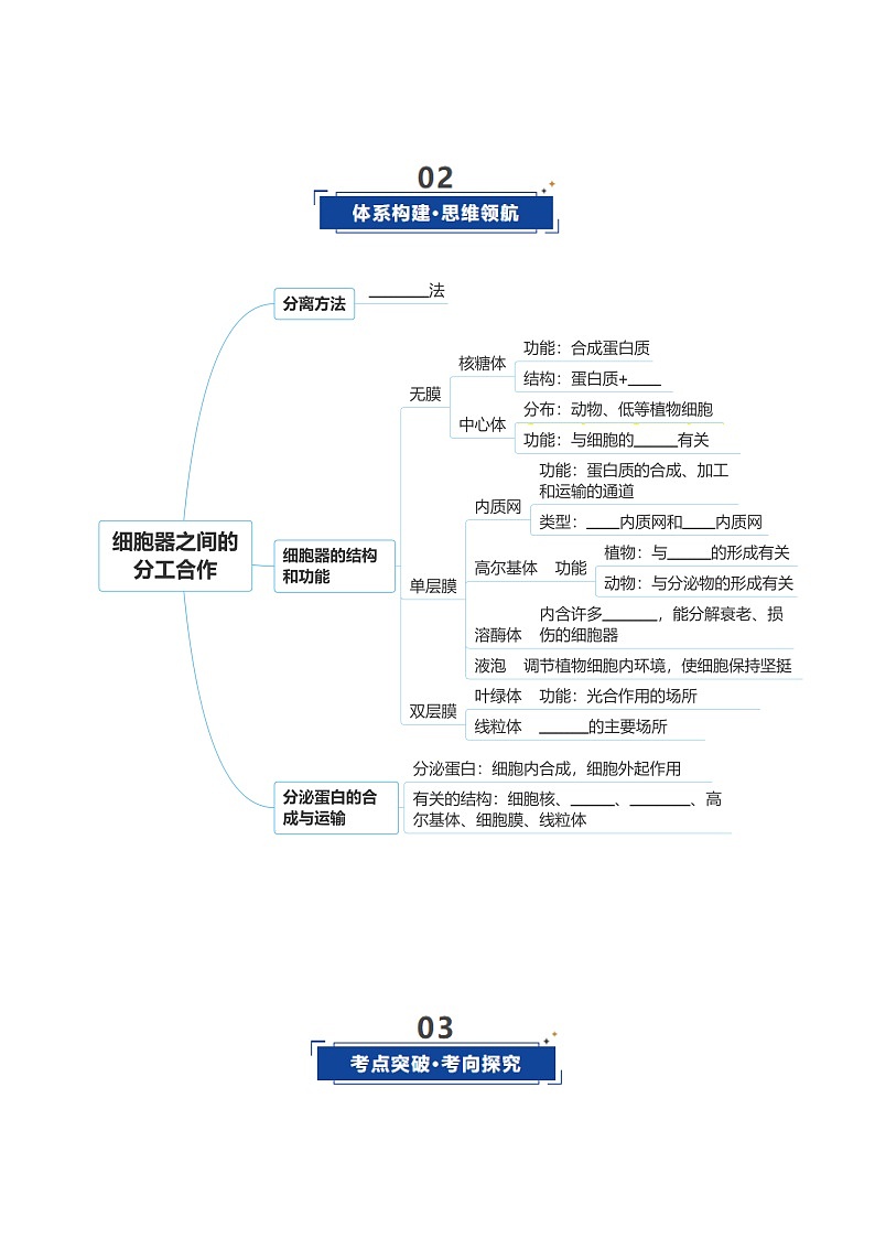 高考生物二轮-细胞器和生物膜系统（复习讲义）（全国通用）（原卷版）第3页