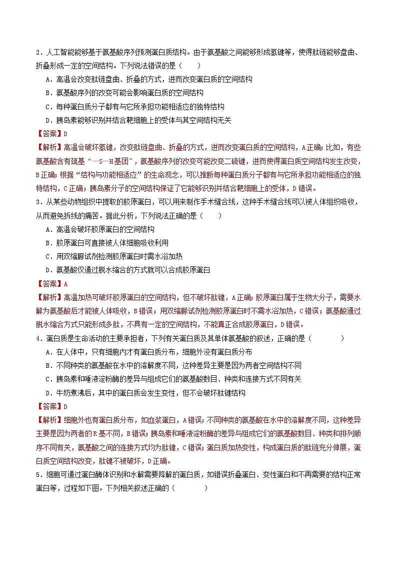 高考生物二轮-蛋白质和核酸（专项训练）（解析版）第2页