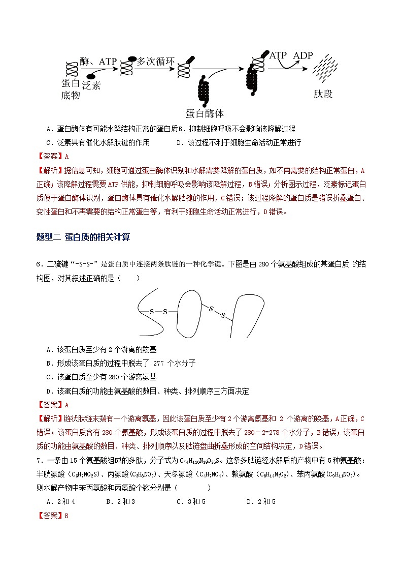 高考生物二轮-蛋白质和核酸（专项训练）（解析版）第3页