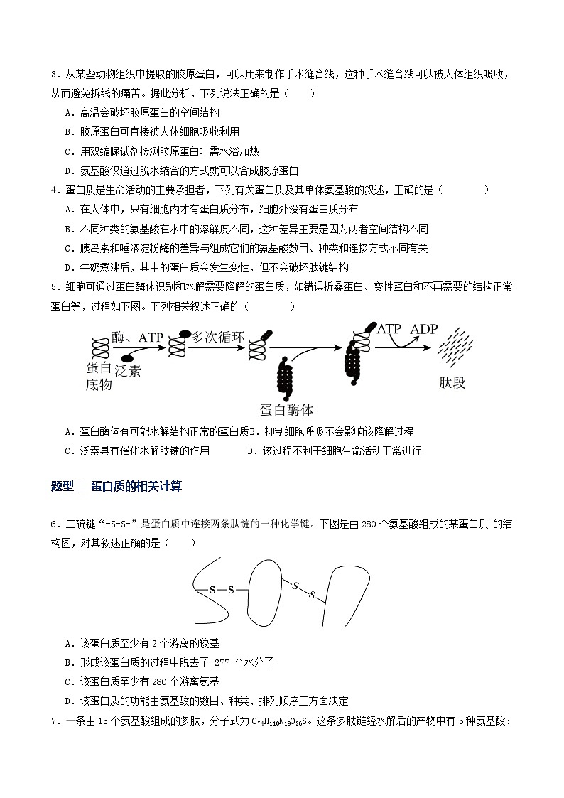 高考生物二轮-蛋白质和核酸（专项训练）（原卷版）第2页