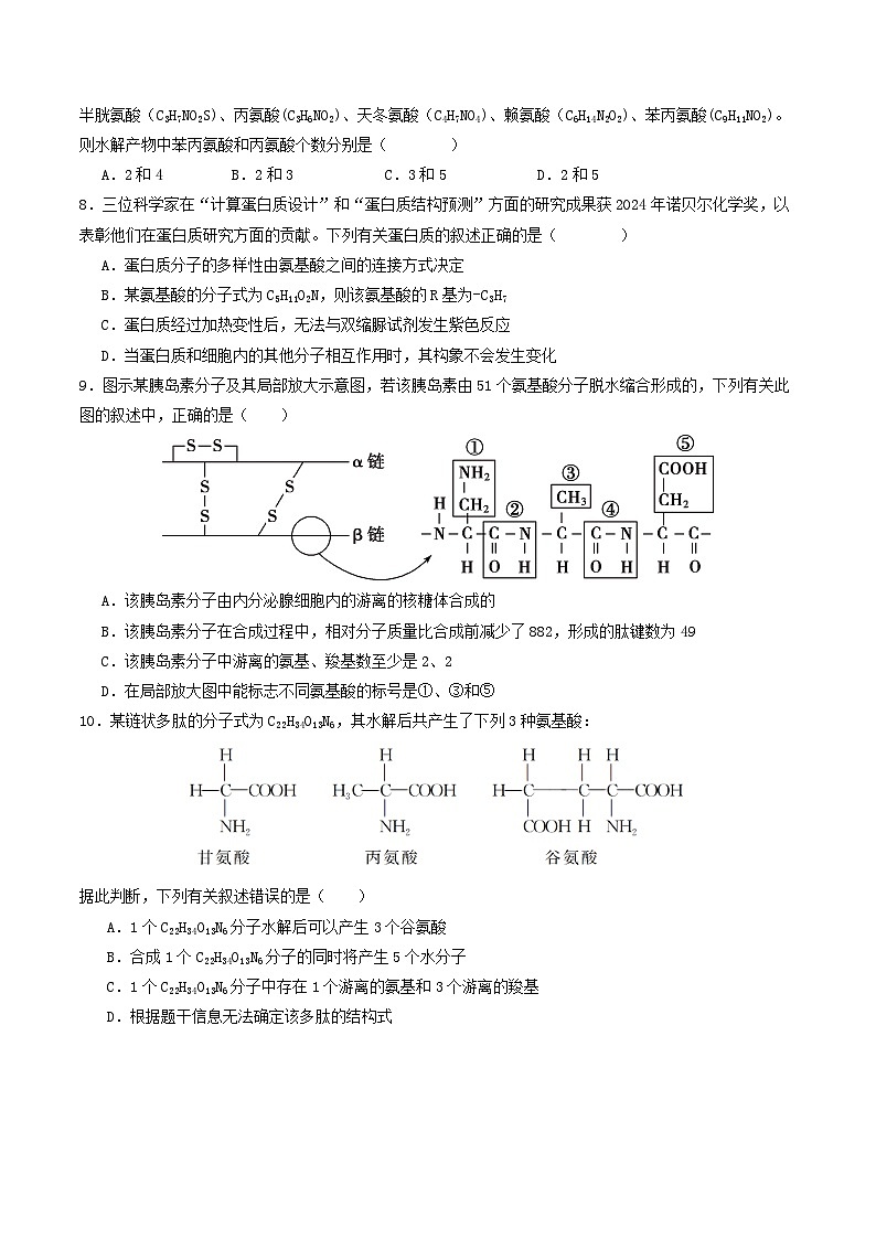 高考生物二轮-蛋白质和核酸（专项训练）（原卷版）第3页