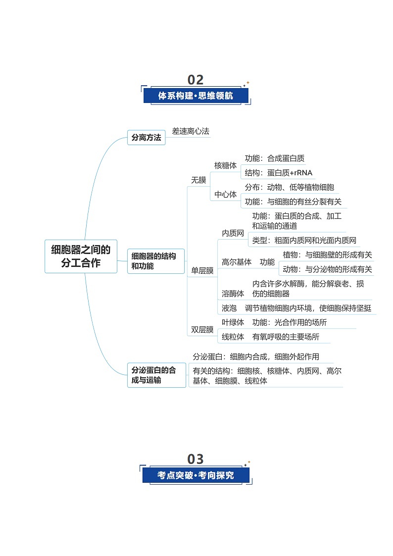高考生物二轮-细胞器和生物膜系统（复习讲义）（全国通用）（解析版）第3页