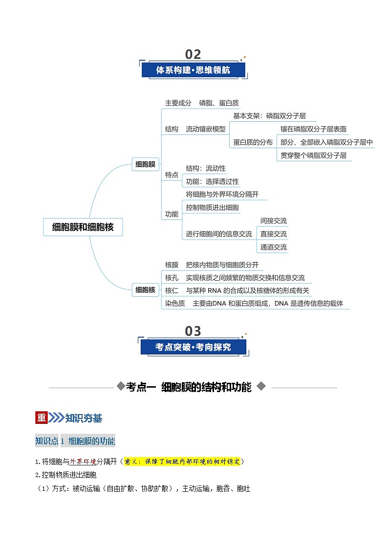 高考生物二轮-细胞膜和细胞核（复习讲义）（全国通用）（解析版）第3页